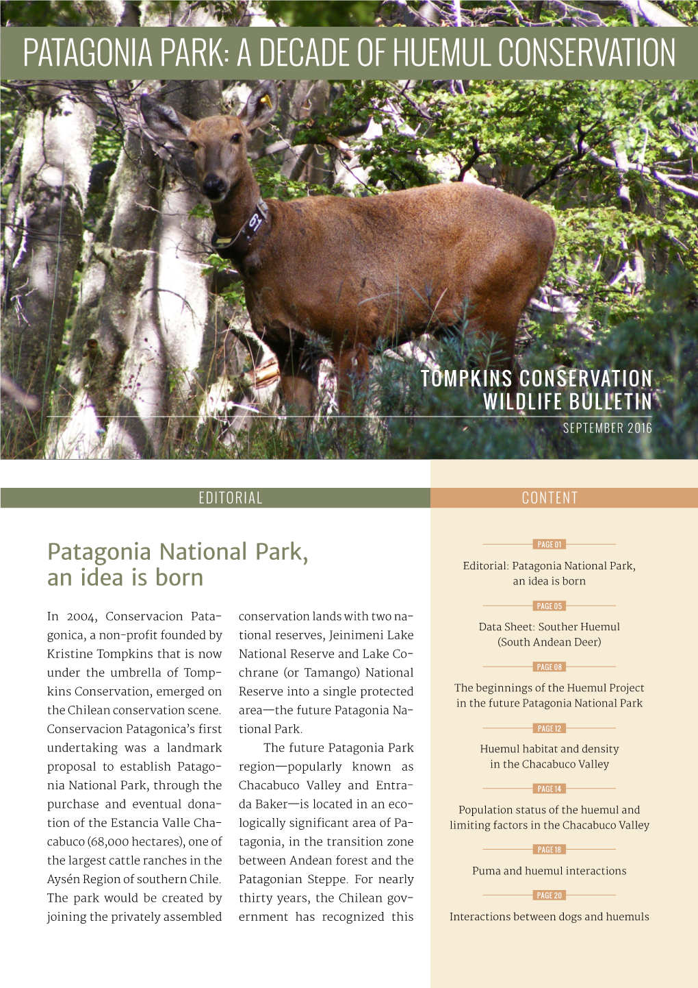 Patagonia Park: a Decade of Huemul Conservation