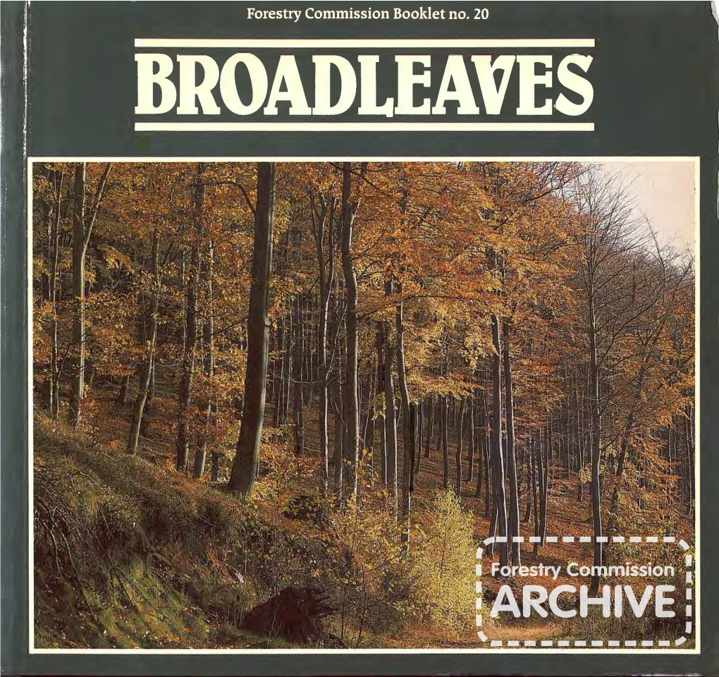Forestry Commission Booklet: Broadleaves