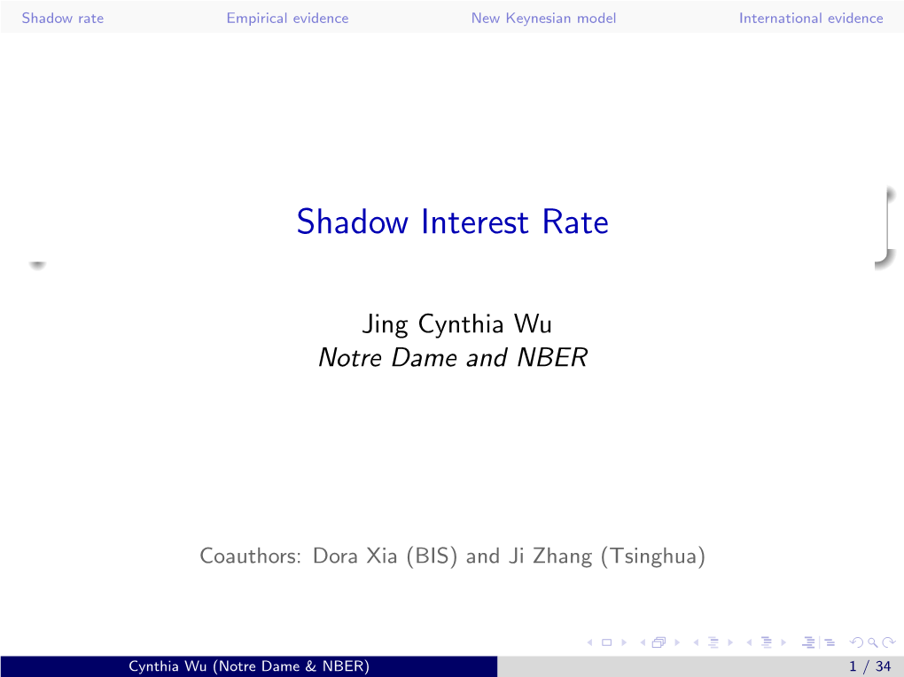 Shadow Interest Rate