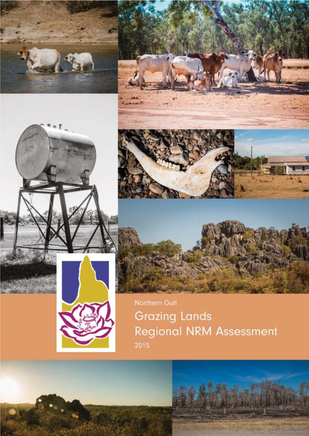 Grazing Lands Regional NRM Assessment | 2015 1