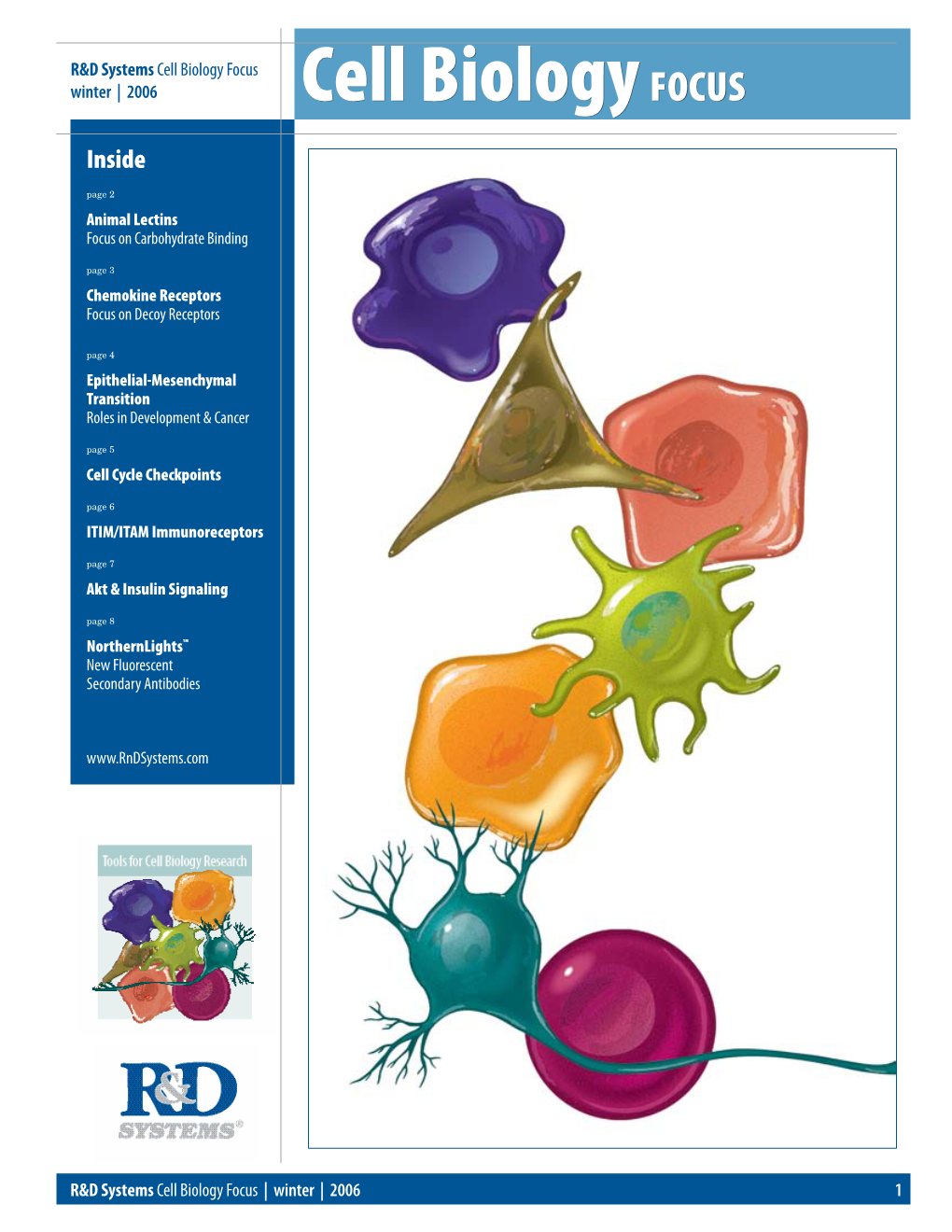 Cell Biology Focus Winter | 2006 Cell Biology FOCUS