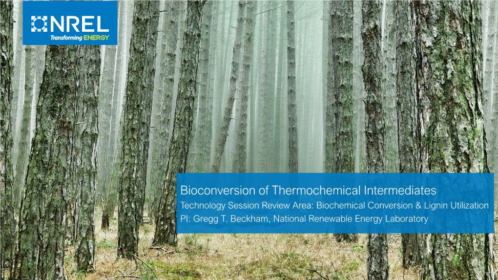 Biological Conversion of Thermochemical Aqueous Streams