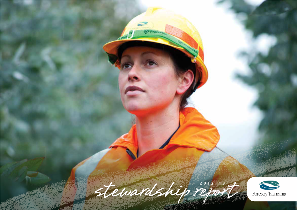 Stewardship Report 2013 ( Pdf )