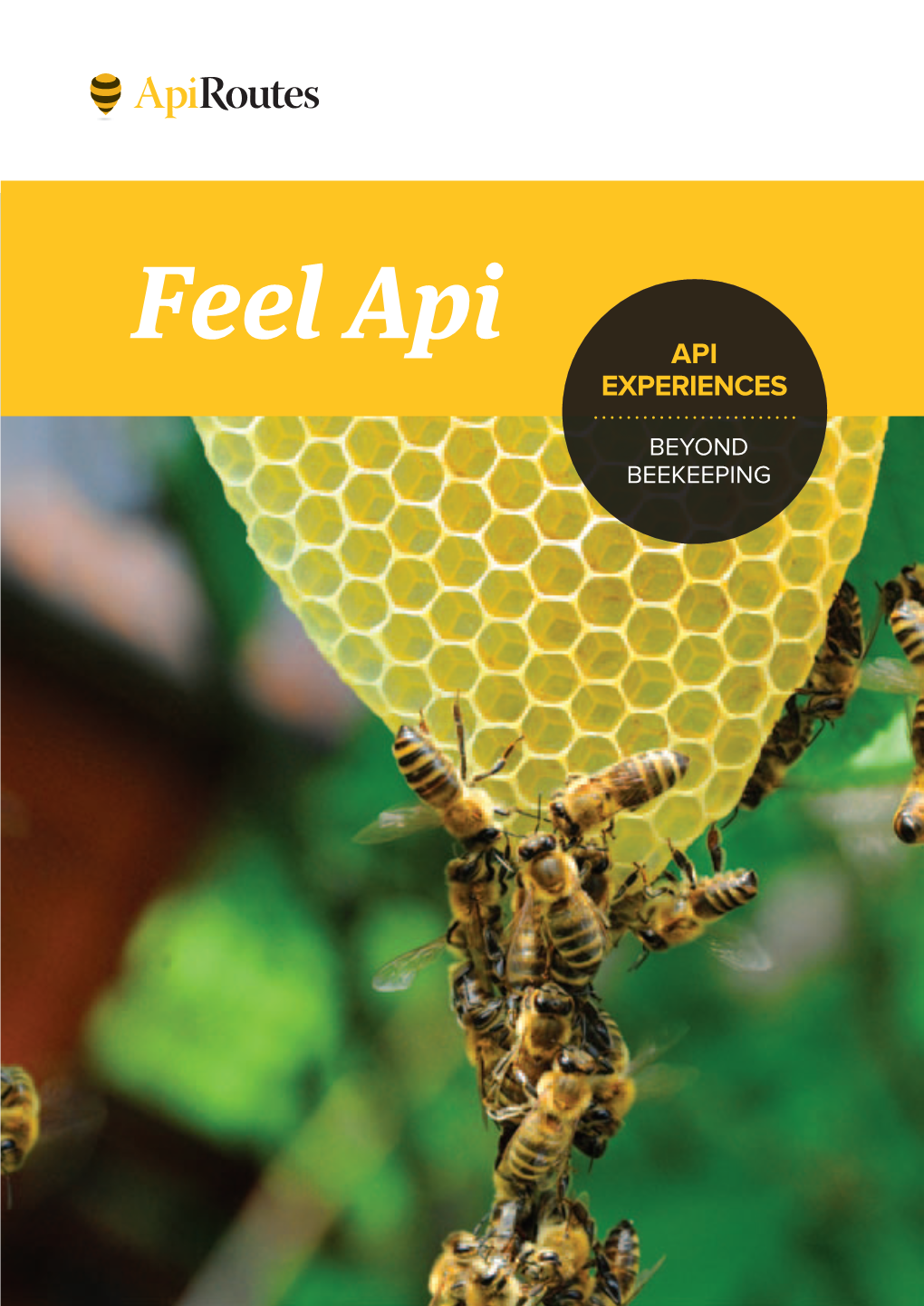 Feel Api API EXPERIENCES