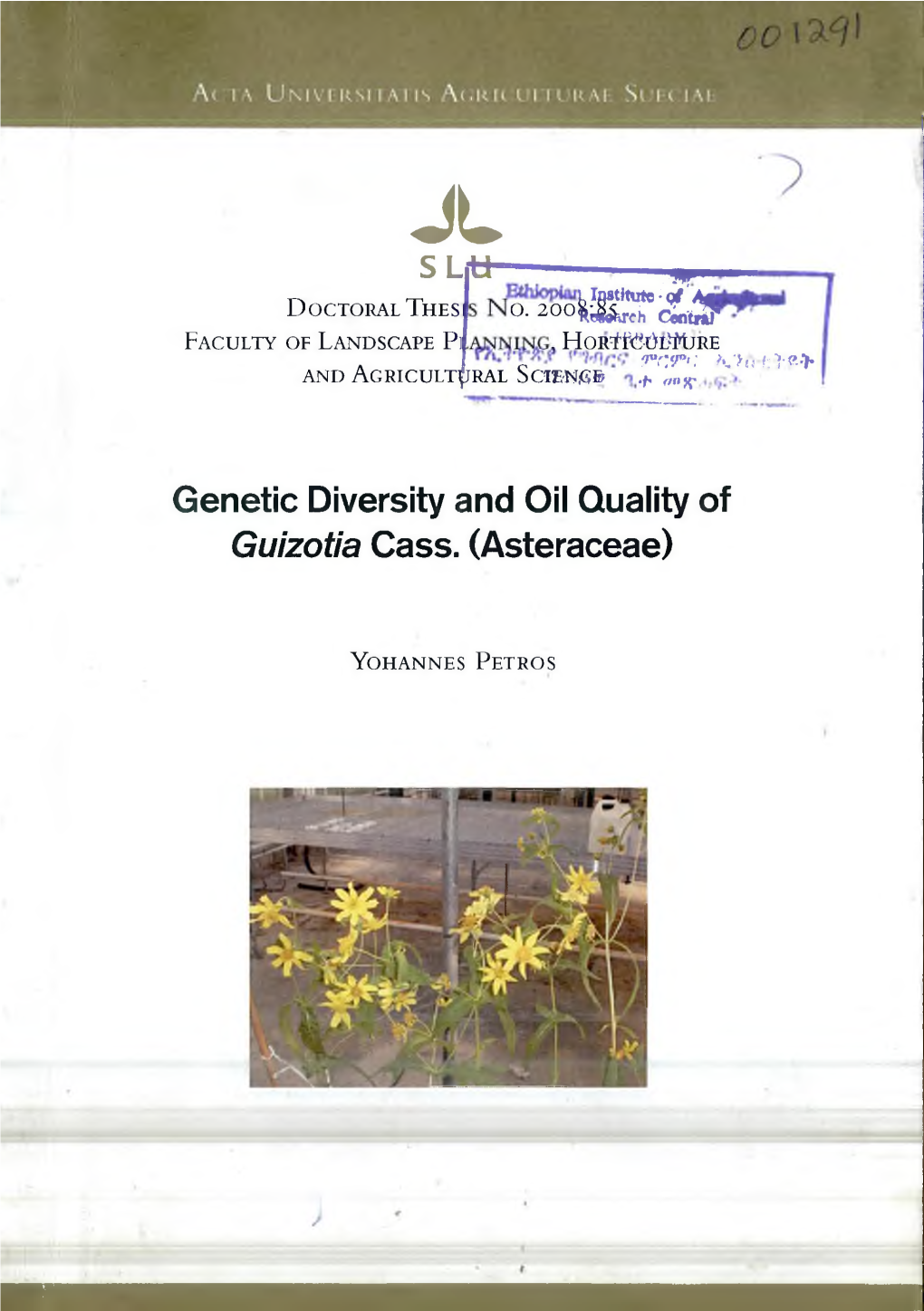SL Genetic Diversity and Oil Quality of Guizotia Cass. (Asteraceae)