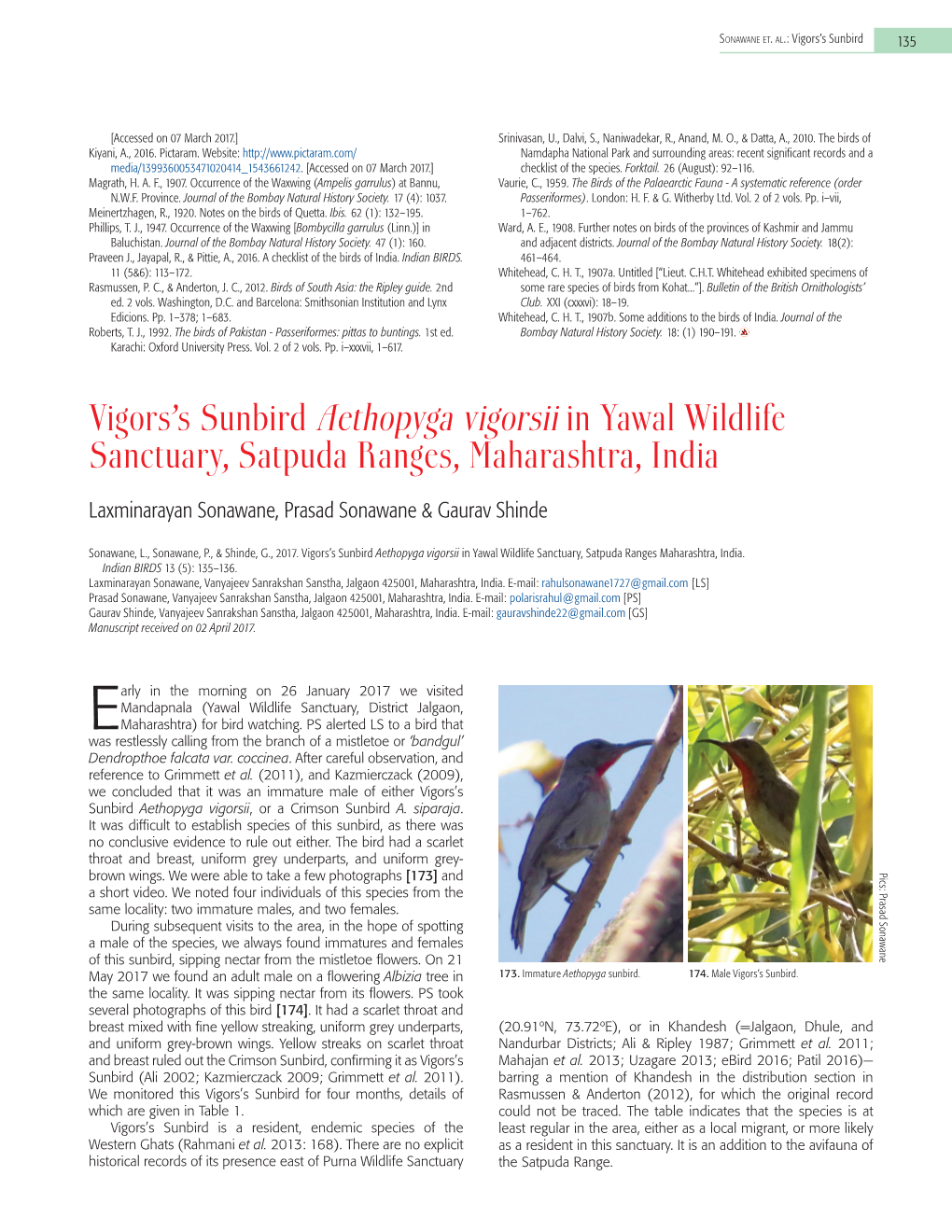 Vigors's Sunbird Aethopyga Vigorsii in Yawal Wildlife Sanctuary, Satpuda Ranges, Maharashtra, India