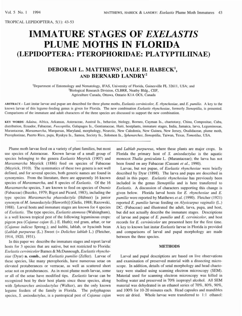 Plume Moths in Florida (Lepidoptera: Pterophoridae: Platyptiliinae)