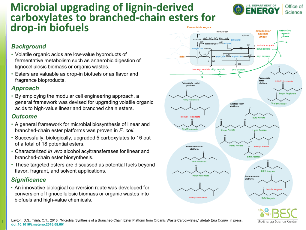 The Bioenergy Science Center an Integrated Strategy to Understand