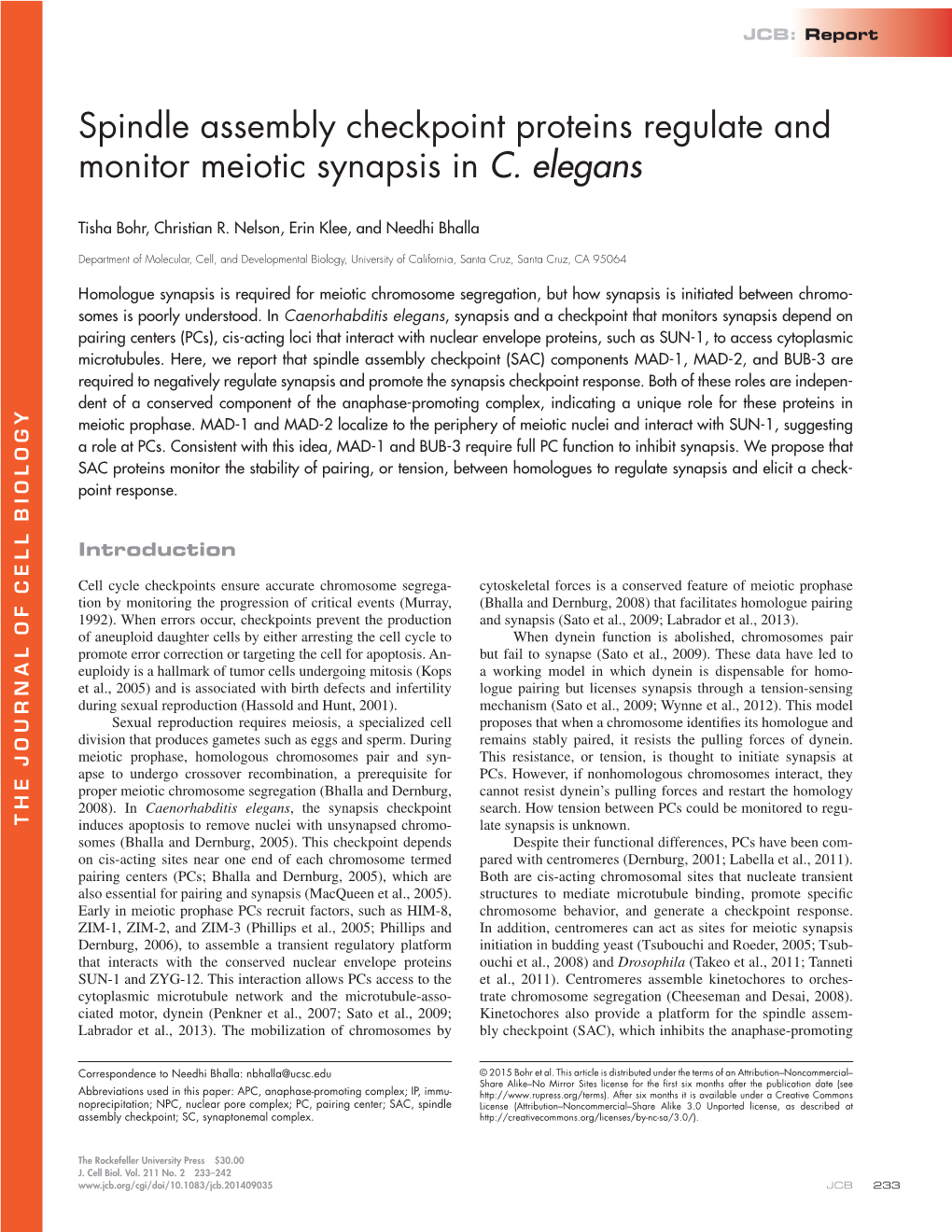 Spindle Assembly Checkpoint Proteins Regulate and Monitor Meiotic Synapsis in C