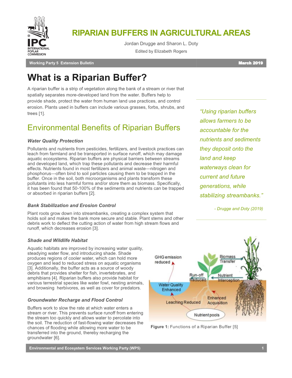 RIPARIAN BUFFERS in AGRICULTURAL AREAS Jordan Drugge and Sharon L