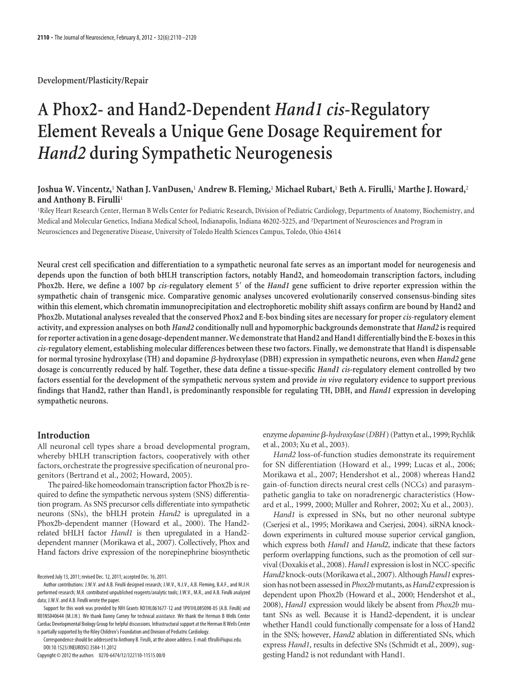 A Phox2- and Hand2-Dependenthand1 Cis