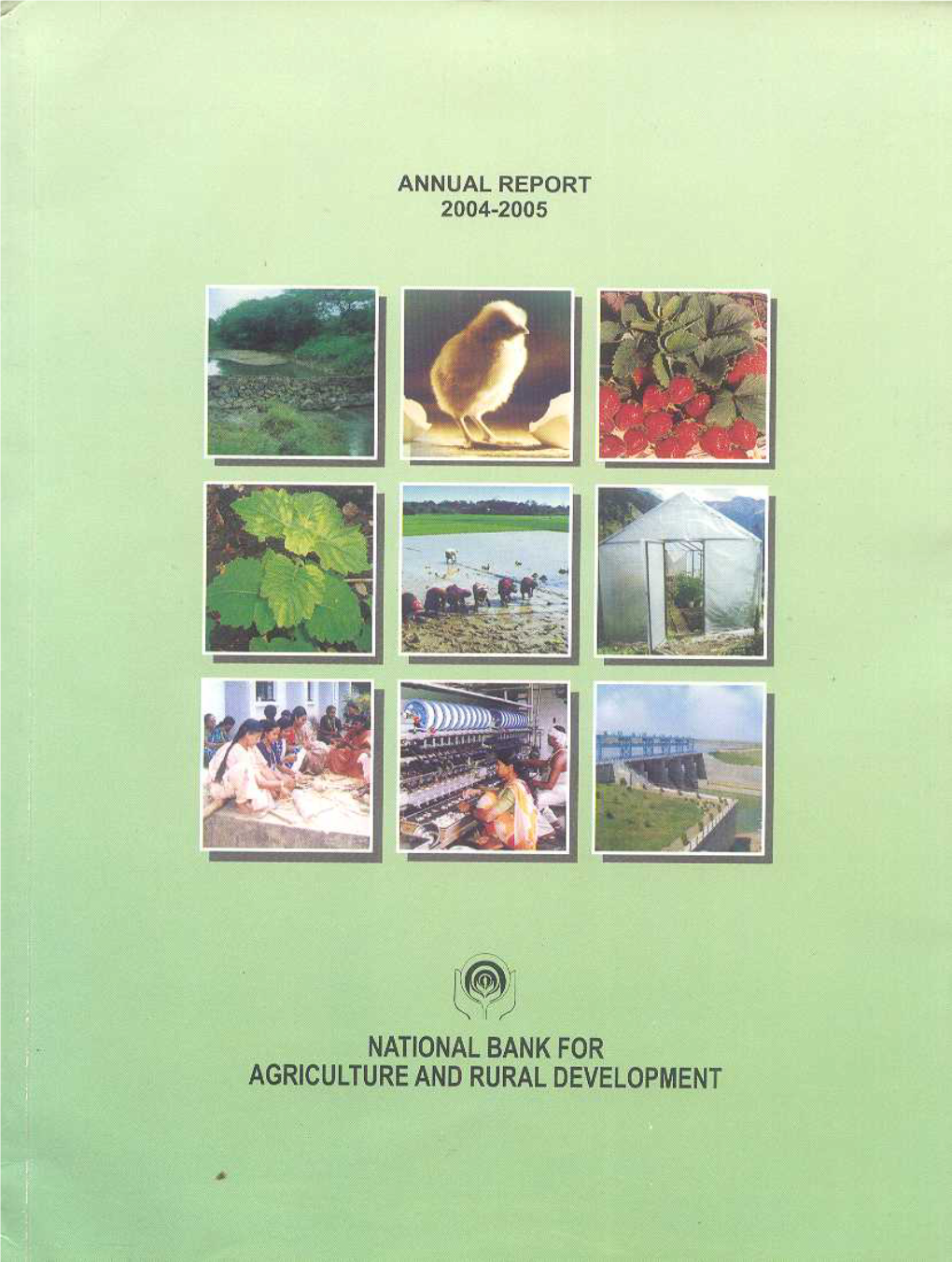 Annual Report of the Board of Directors on the Working of National Bank During the Year Ended 31St March 2005