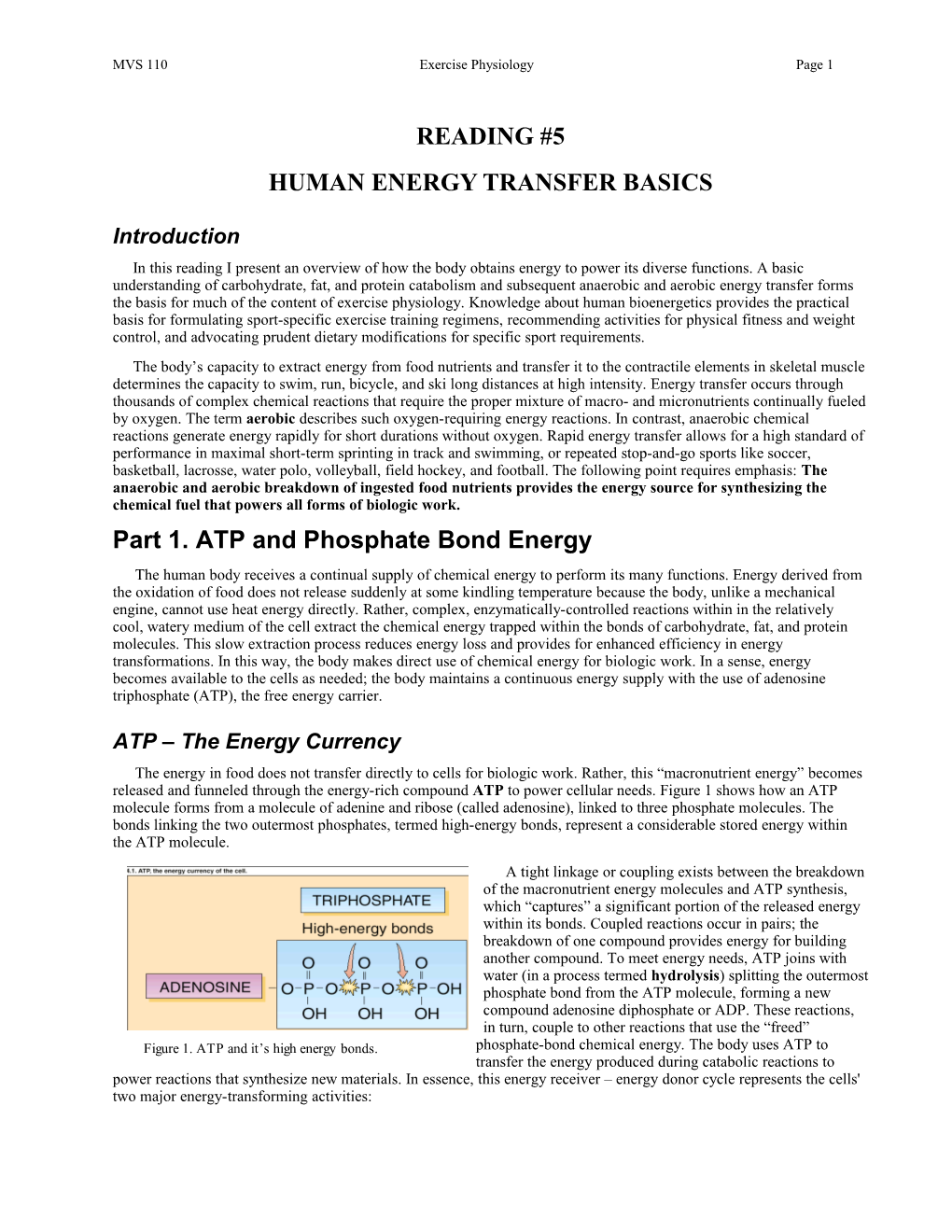 Human Energy Transfer Basics