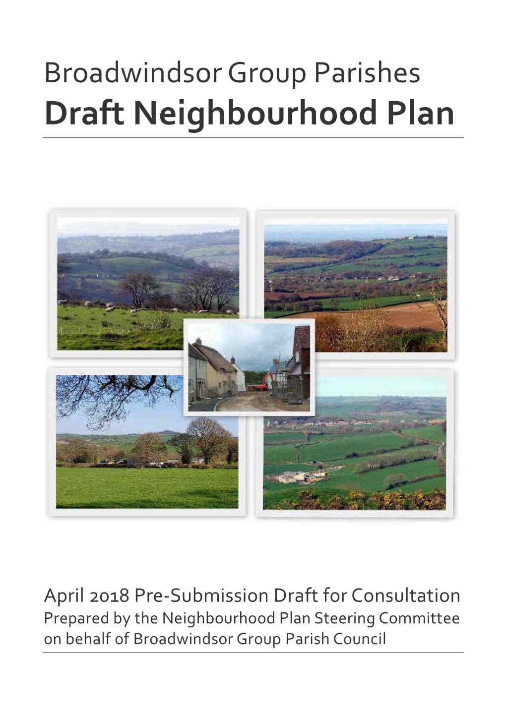 Draft Neighbourhood Plan