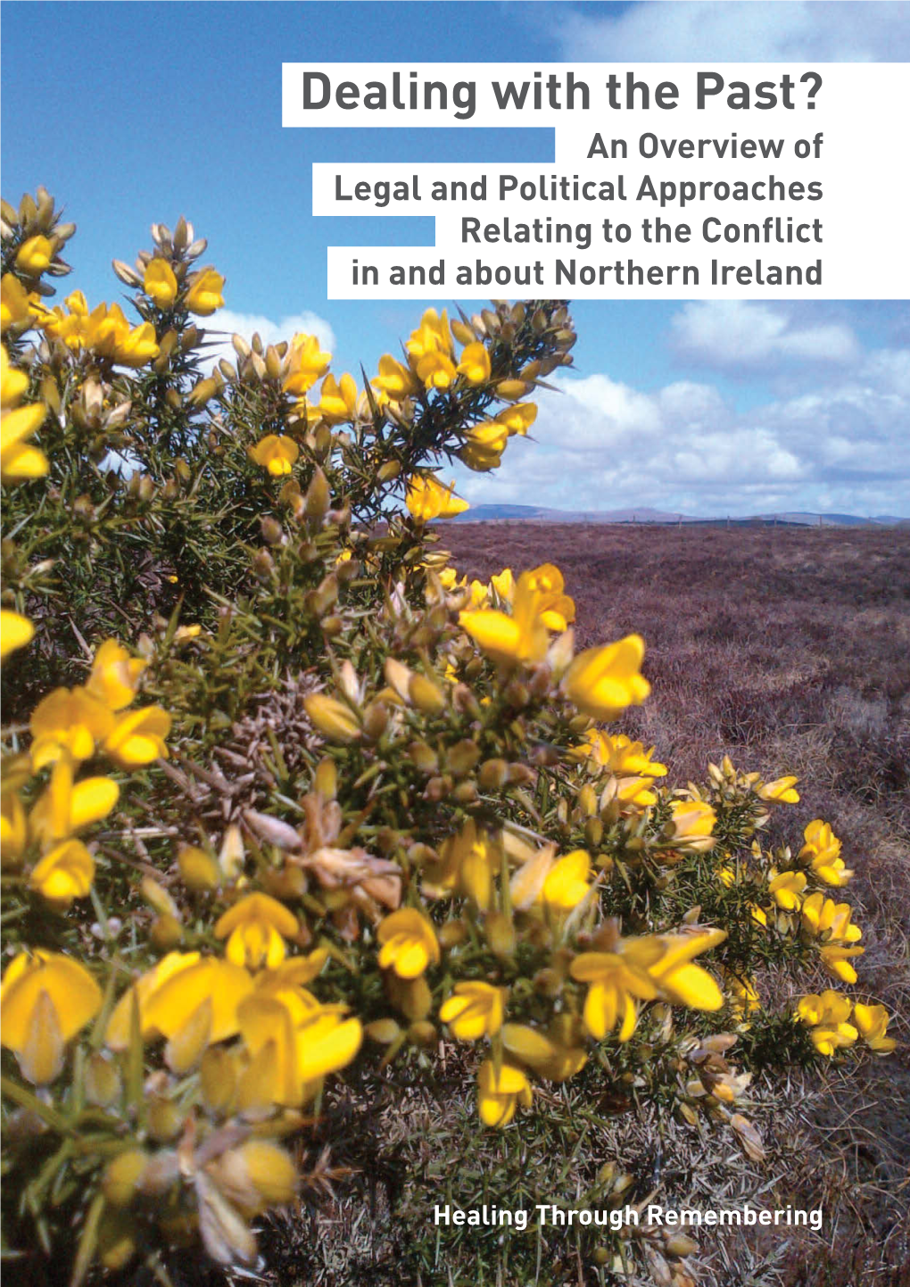 Dealing with the Past? an Overview of Legal and Political Approaches Relating to the Conflict in and About Northern Ireland