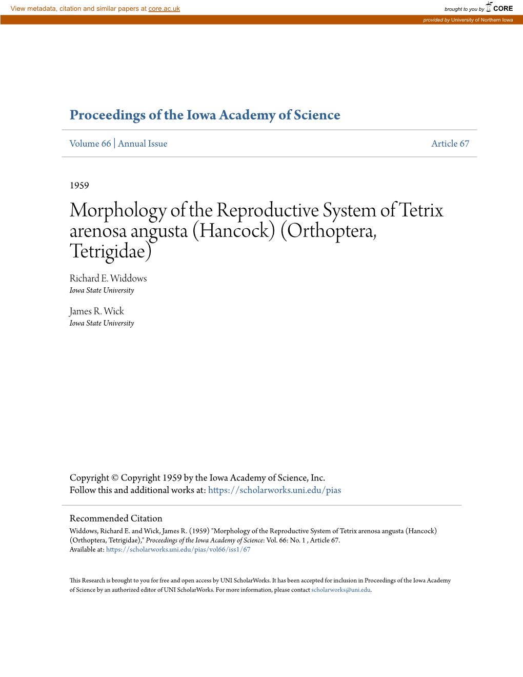 Morphology of the Reproductive System of Tetrix Arenosa Angusta (Hancock) (Orthoptera, Tetrigidae) Richard E