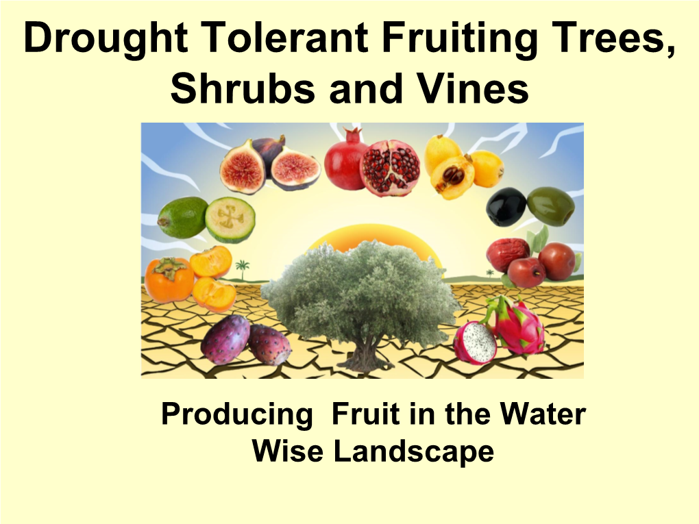 Drought Tolerant Fruiting Trees, Shrubs and Vines Presentation