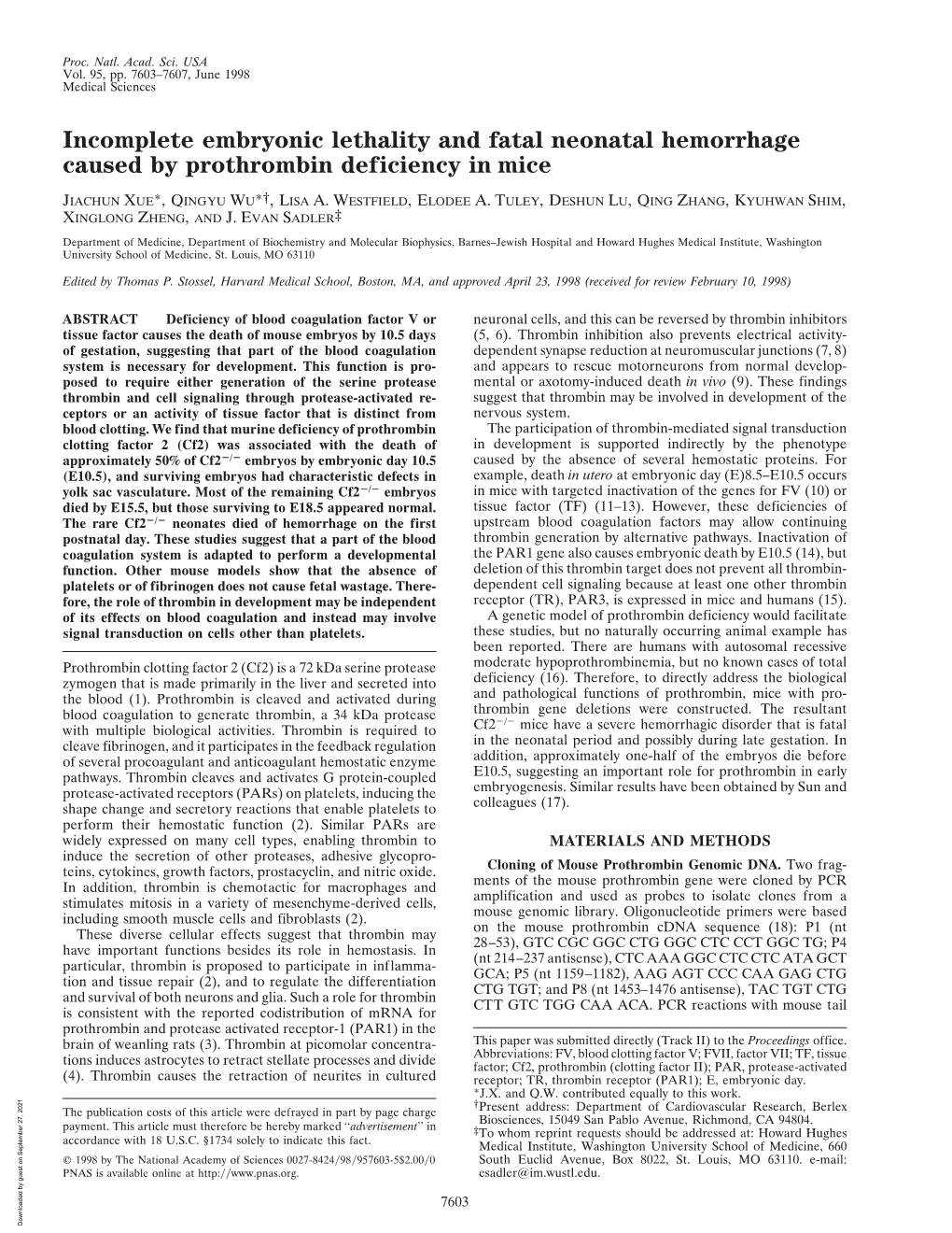 Incomplete Embryonic Lethality and Fatal Neonatal Hemorrhage Caused by Prothrombin Deficiency in Mice