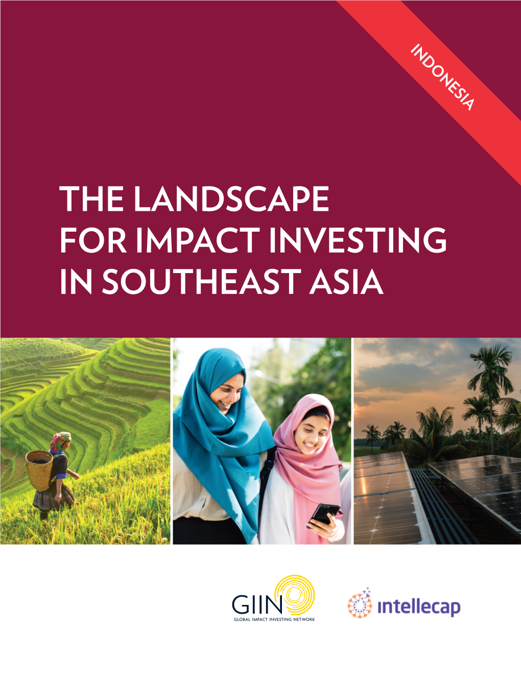 The Landscape for Impact Investing in Southeast Asia Acknowledgments