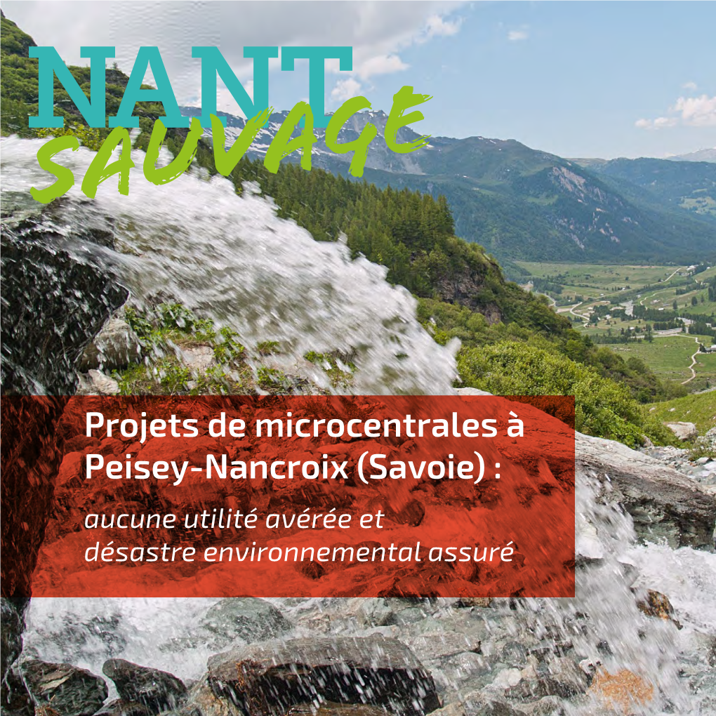 Projets De Microcentrales À Peisey-Nancroix (Savoie) : Aucune Utilité Avérée Et Désastre Environnemental Assuré Il N’Est Pas D’Utilité Publique