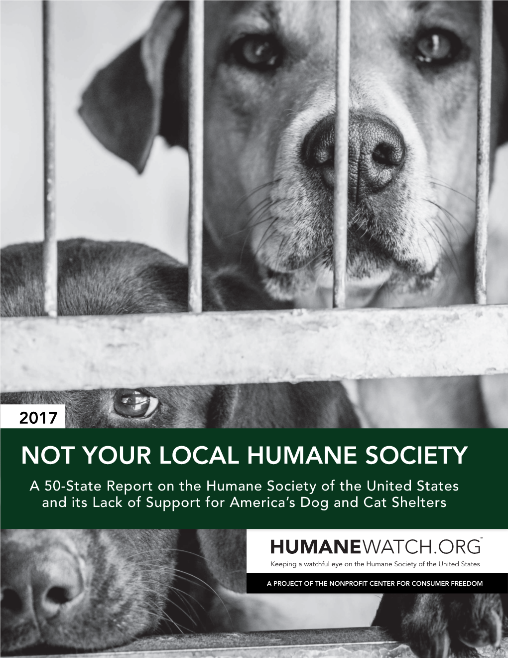 NOT YOUR LOCAL HUMANE SOCIETY a 50-State Report on the Humane Society of the United States and Its Lack of Support for America’S Dog and Cat Shelters