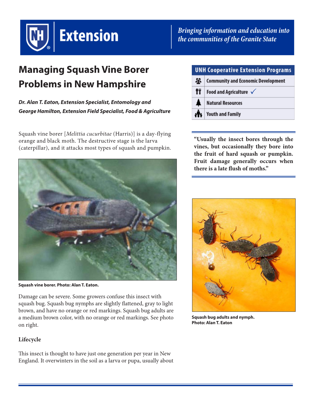 Managing Squash Vine Borer Problems in New Hampshire  Dr