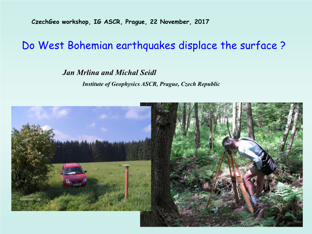 Do West Bohemian Earthquakes Displace the Surface ?