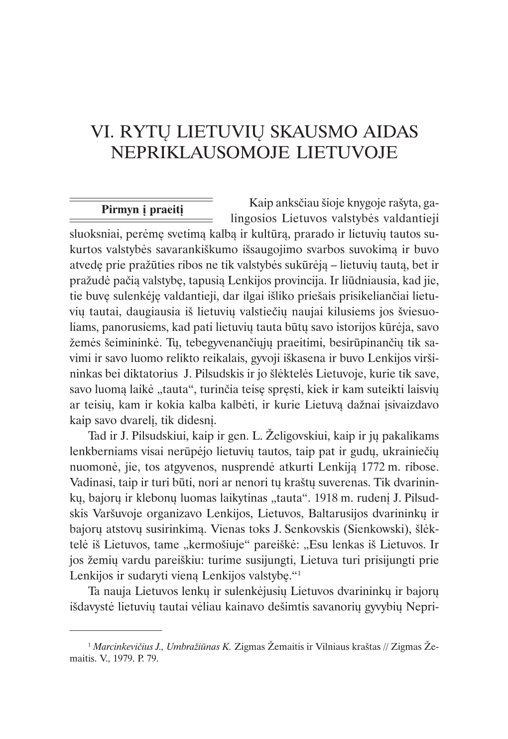 Vi. Rytų Lietuvių Skausmo Aidas Nepriklausomoje Lietuvoje
