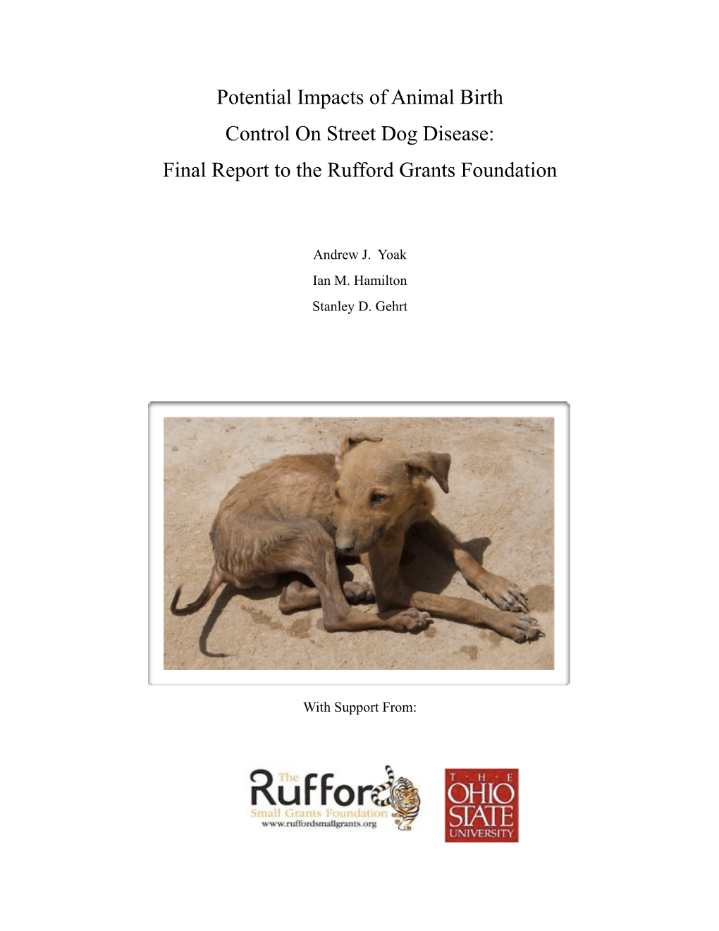 Potential Impacts of Animal Birth Control on Street Dog Disease: Final Report to the Rufford Grants Foundation