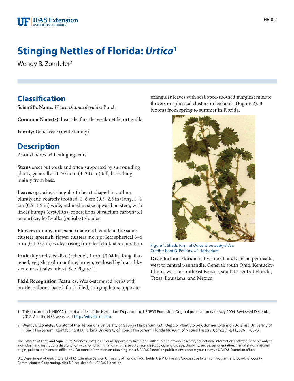 Stinging Nettles of Florida: Urtica1 Wendy B