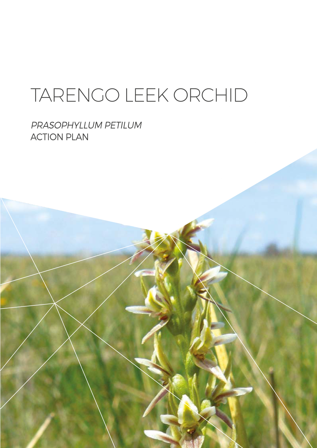 Tarengo Lekk Orchid Action Plan