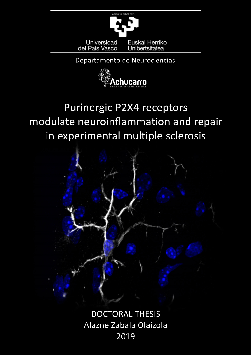 Purinergic P2X4 Receptors Modulate Neuroinflammation and Repair in Experimental Multiple Sclerosis