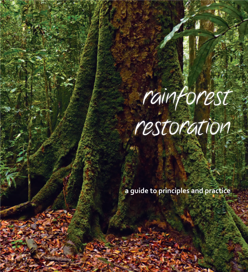 Rainforest Restoration
