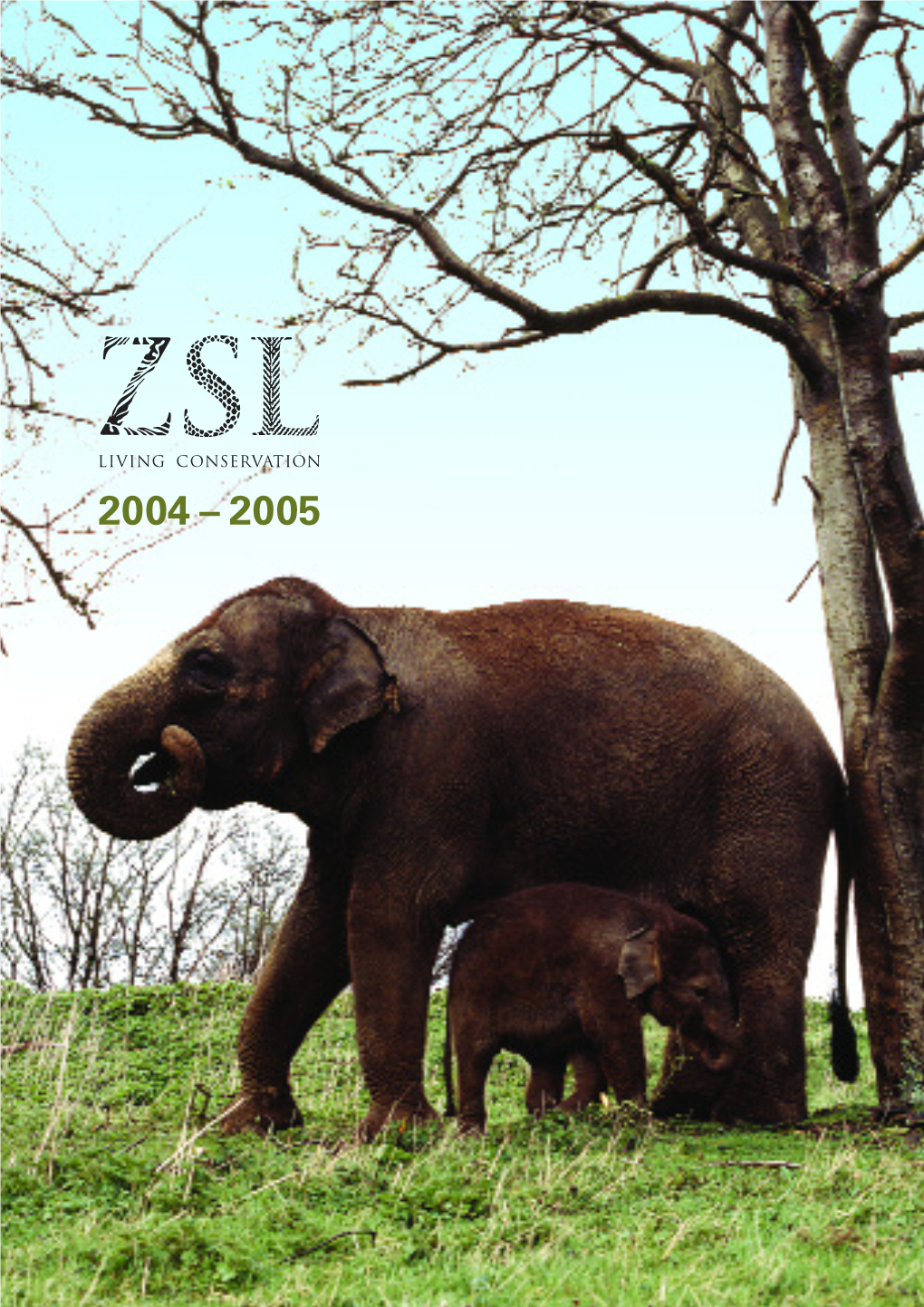 ZSL Annual Review 2004