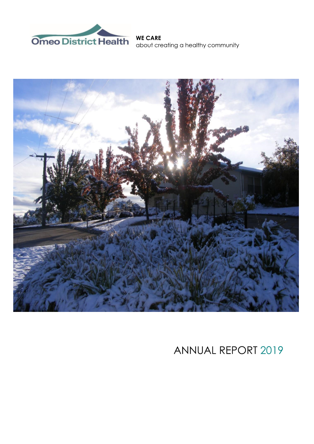 ANNUAL REPORT 2019 Our Journey