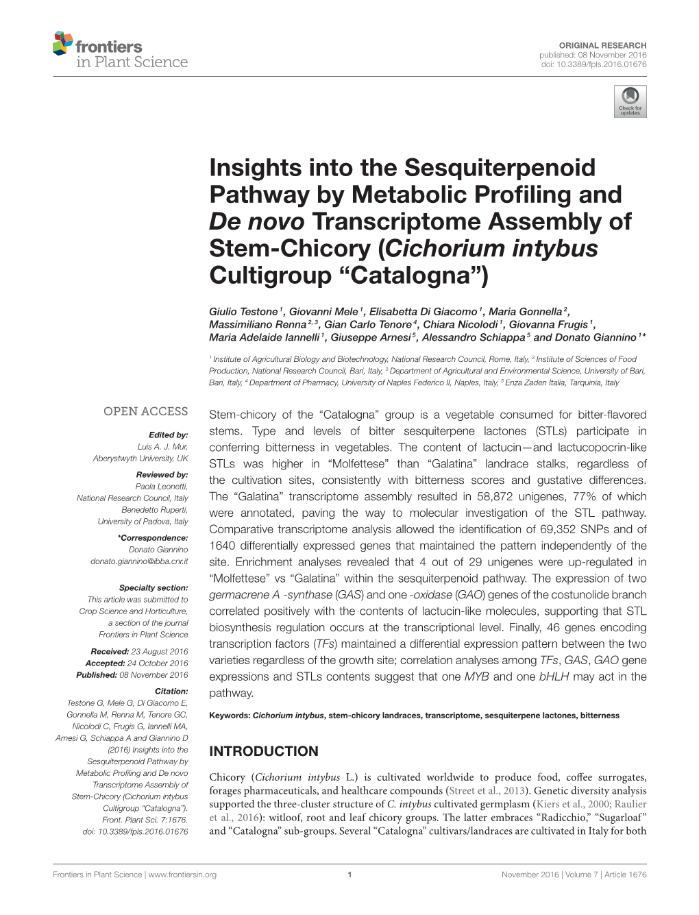 Cichorium Intybus Cultigroup “Catalogna”)