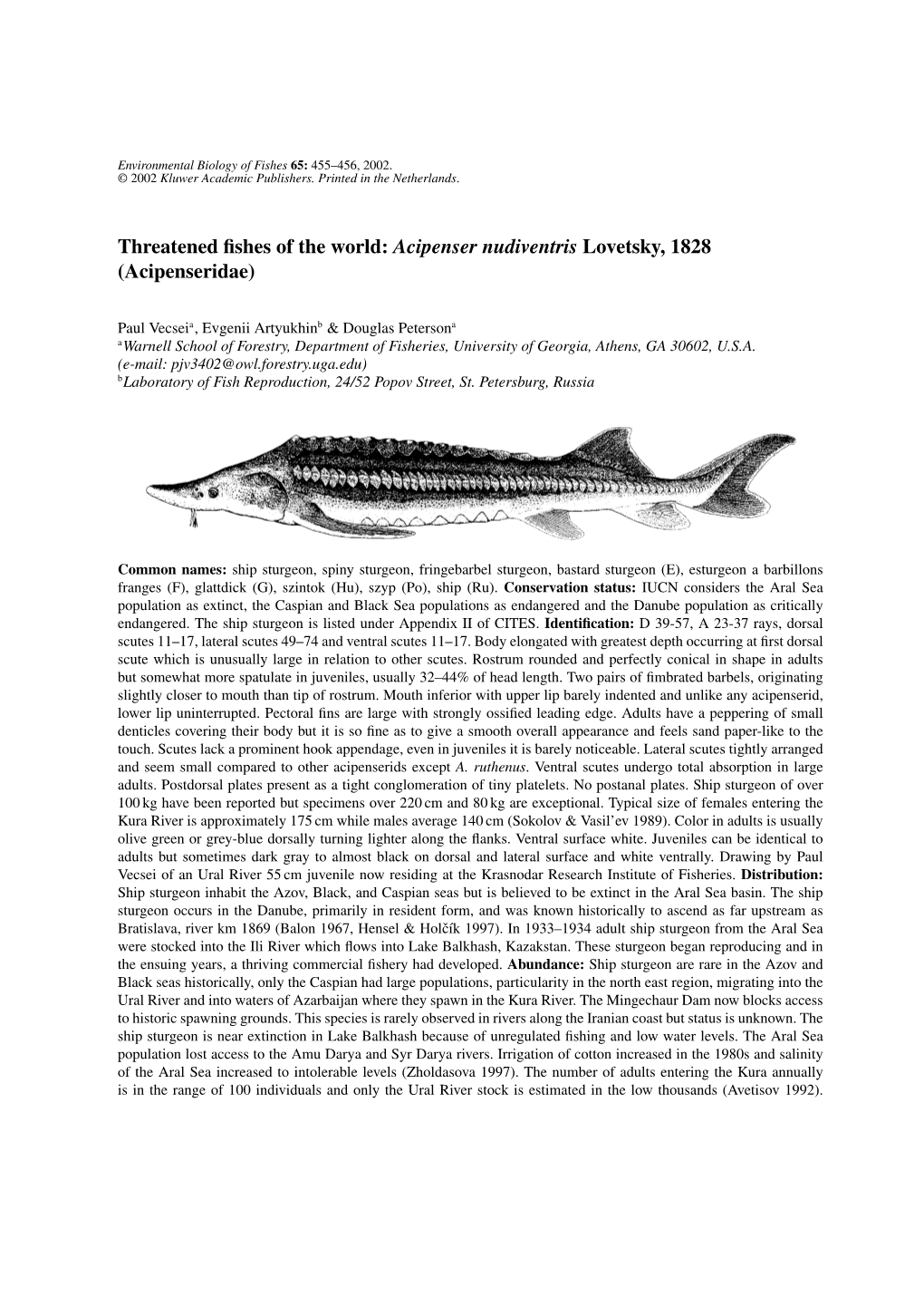 Threatened Fishes of the World: Acipenser Nudiventris Lovetsky, 1828