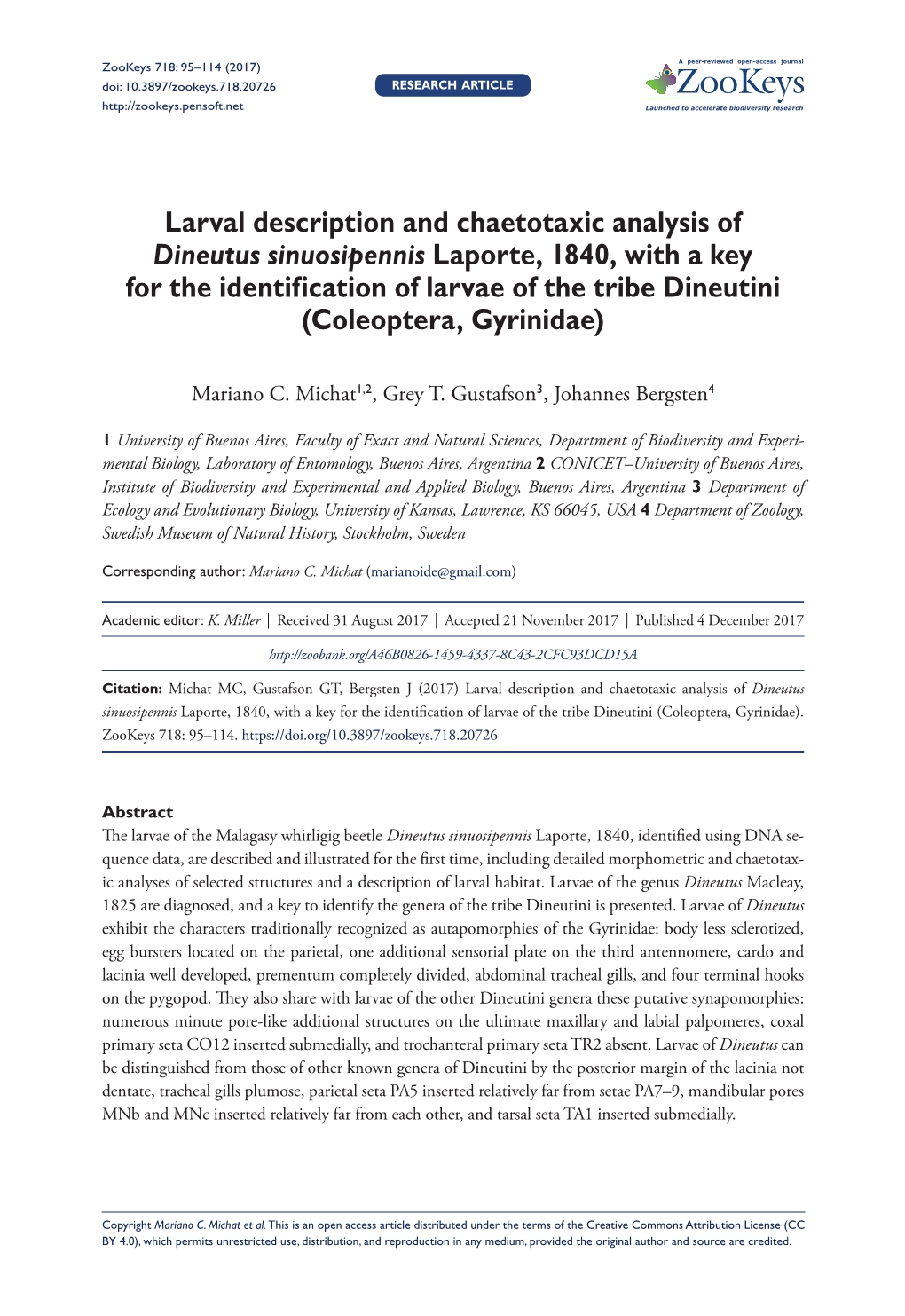 ﻿Larval Description and Chaetotaxic Analysis of Dineutus Sinuosipennis