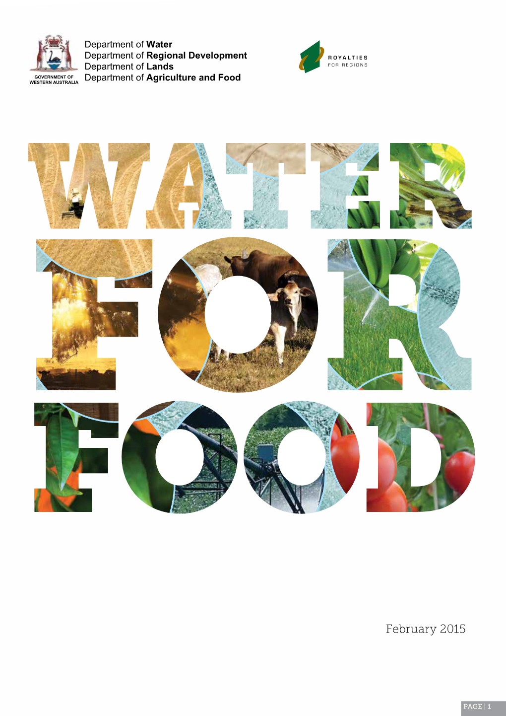 Water for Food