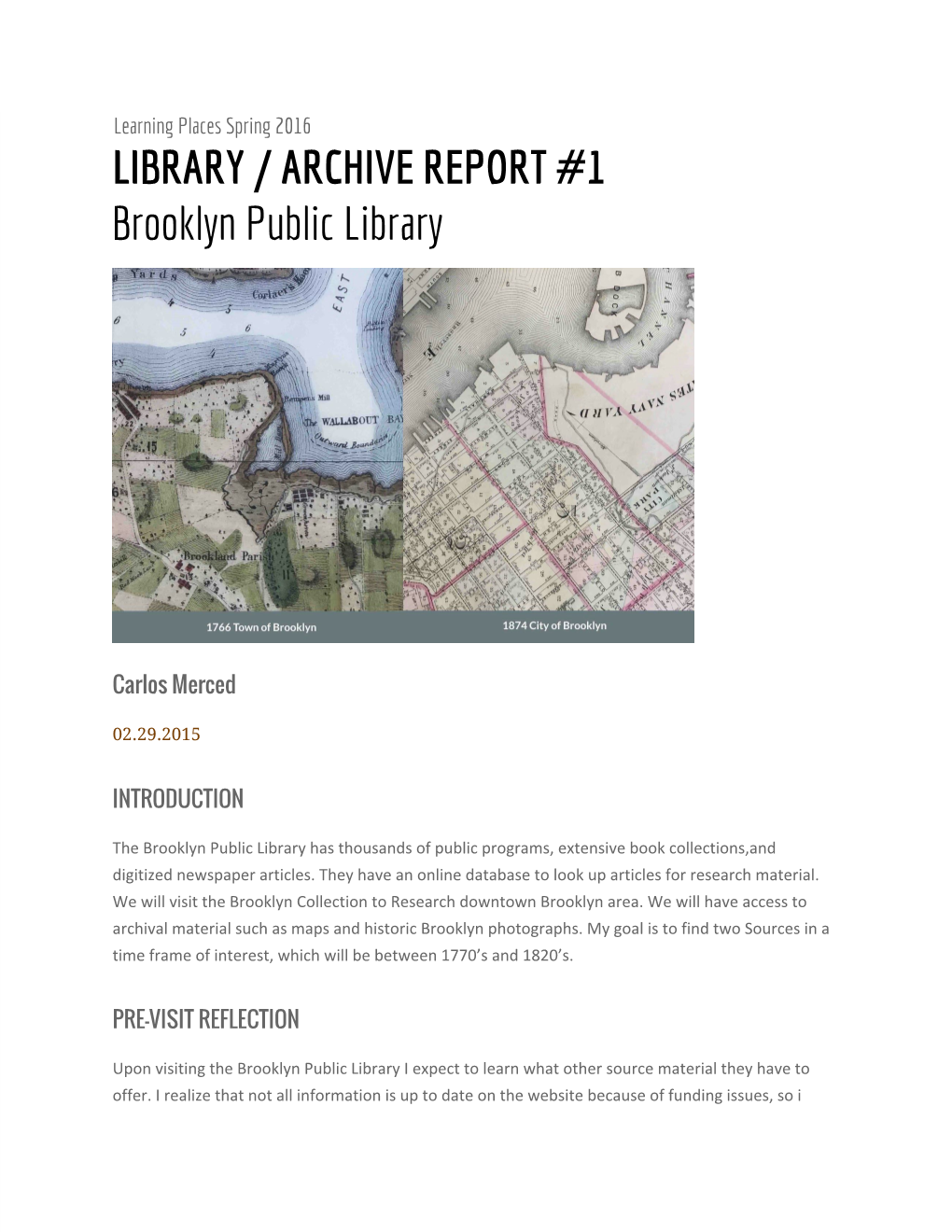 LIBRARY / ARCHIVE REPORT #1 Brooklyn Public Library