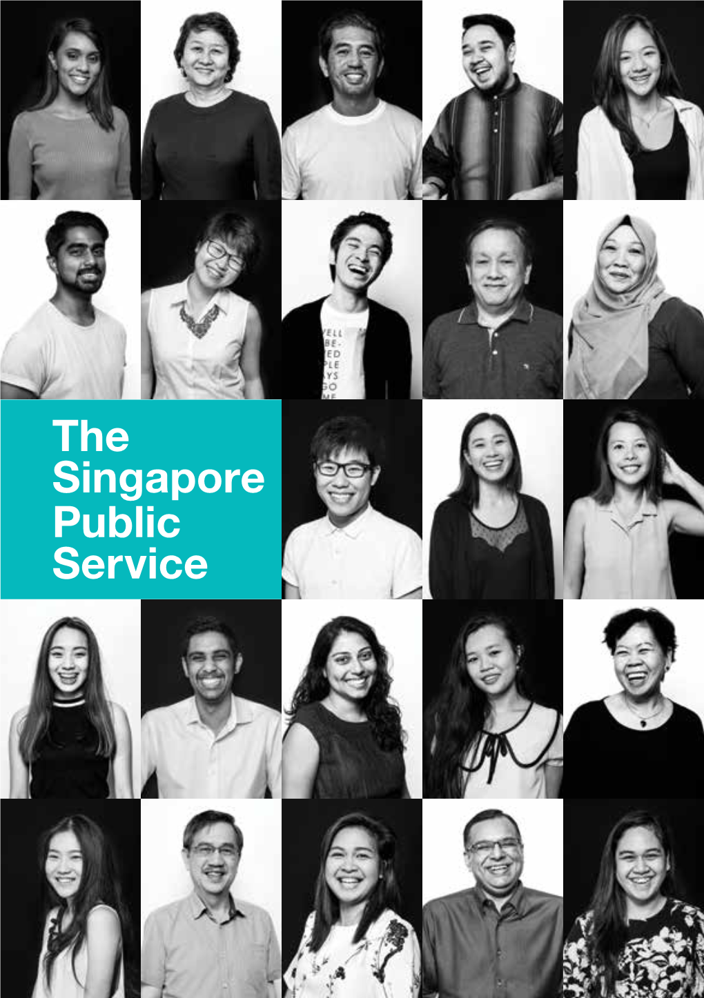 The Singapore Public Service