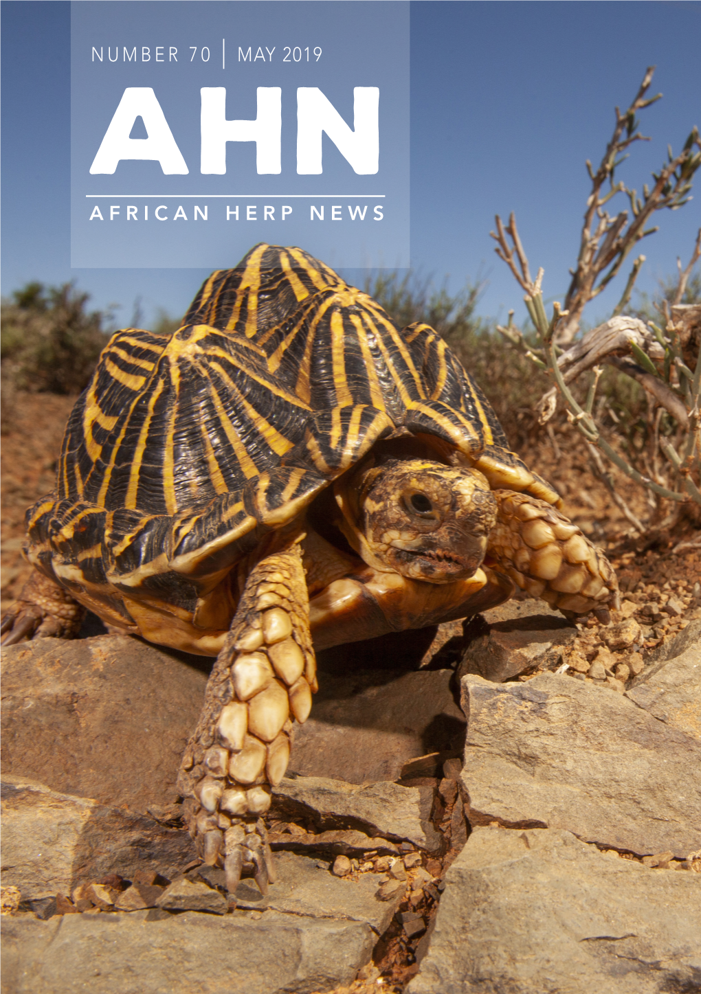 May 2019 African Herp News