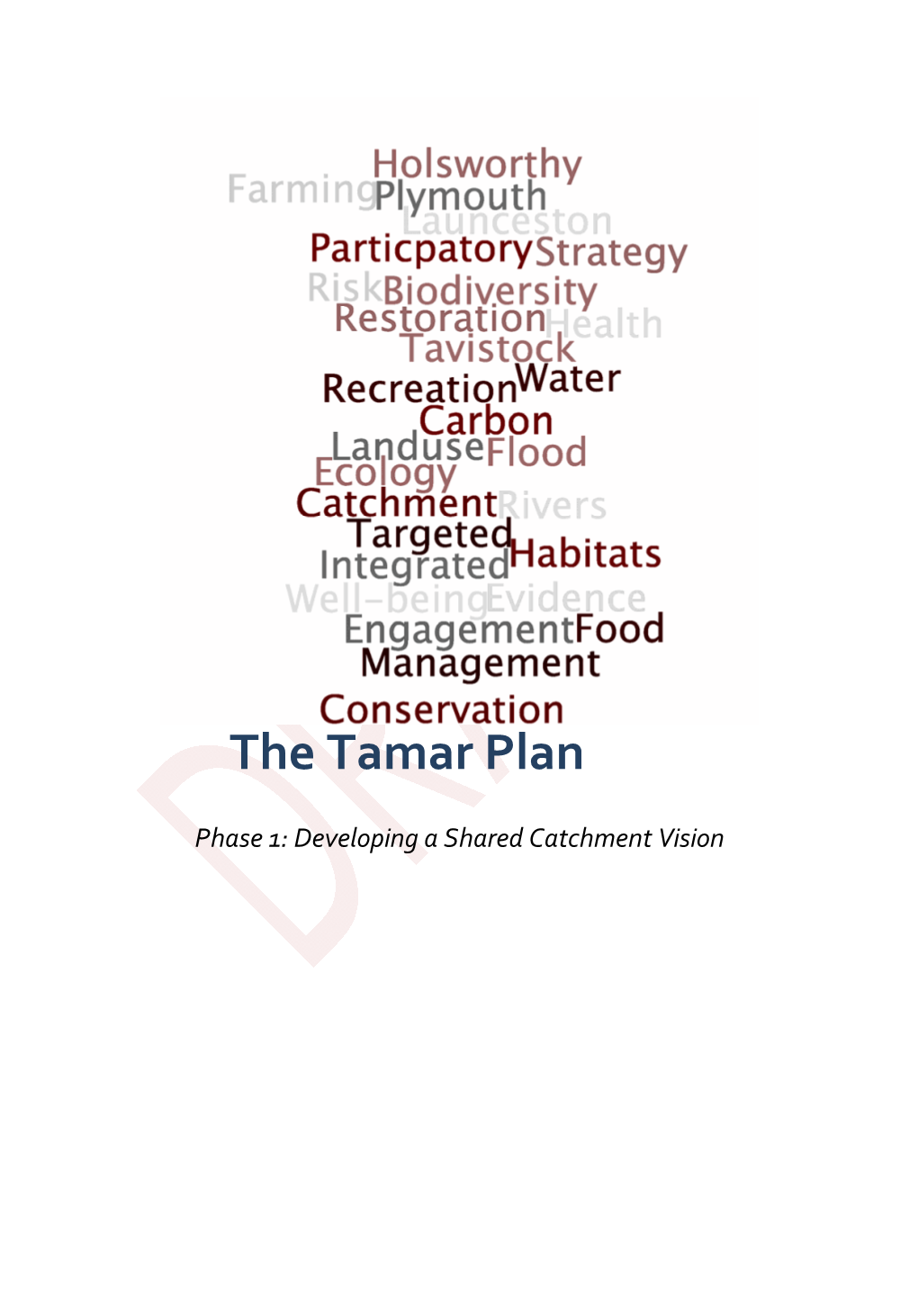 The Tamar Plan