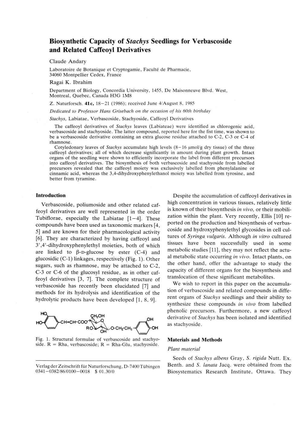 Biosynthetic Capacity of Stachys Seedlings for Verbascoside and Related Caffeoyl Derivatives