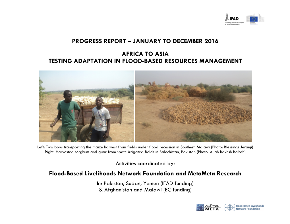 Progress Report – January to December 2016