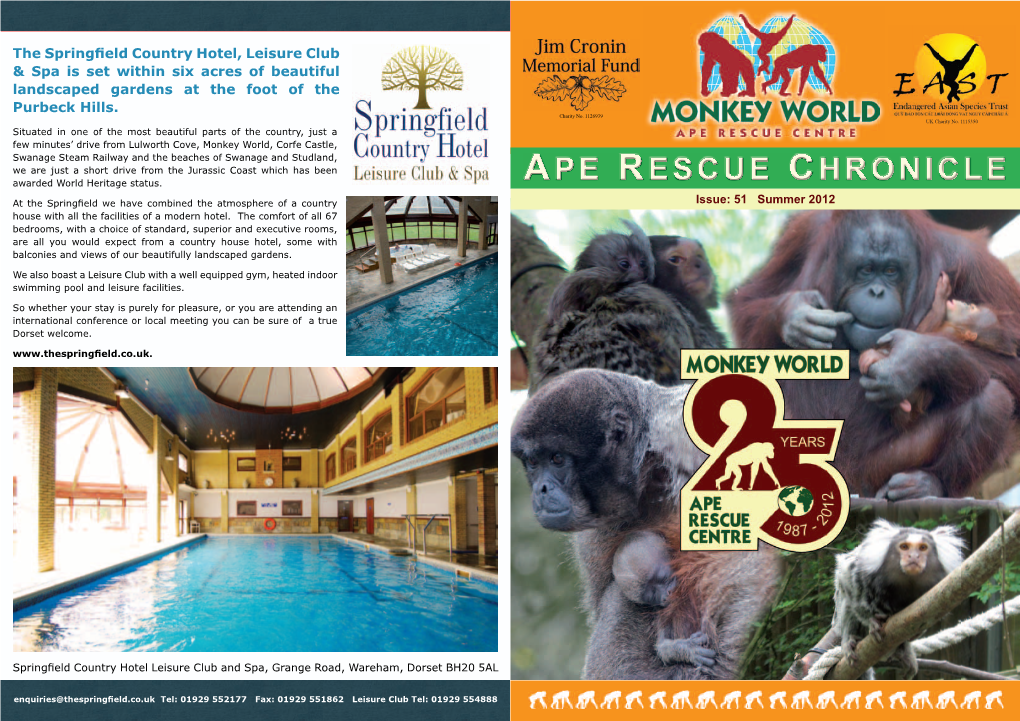 Ape Rescue Chronicle, Ian Mulry Will at ONKEY ORLD Be Well on His Way to the ﬁ Nish Line