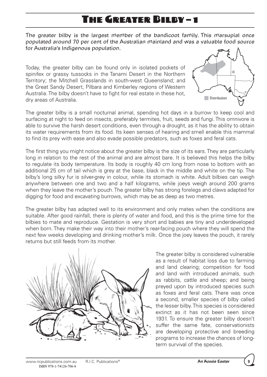 The Greater Bilby – 1
