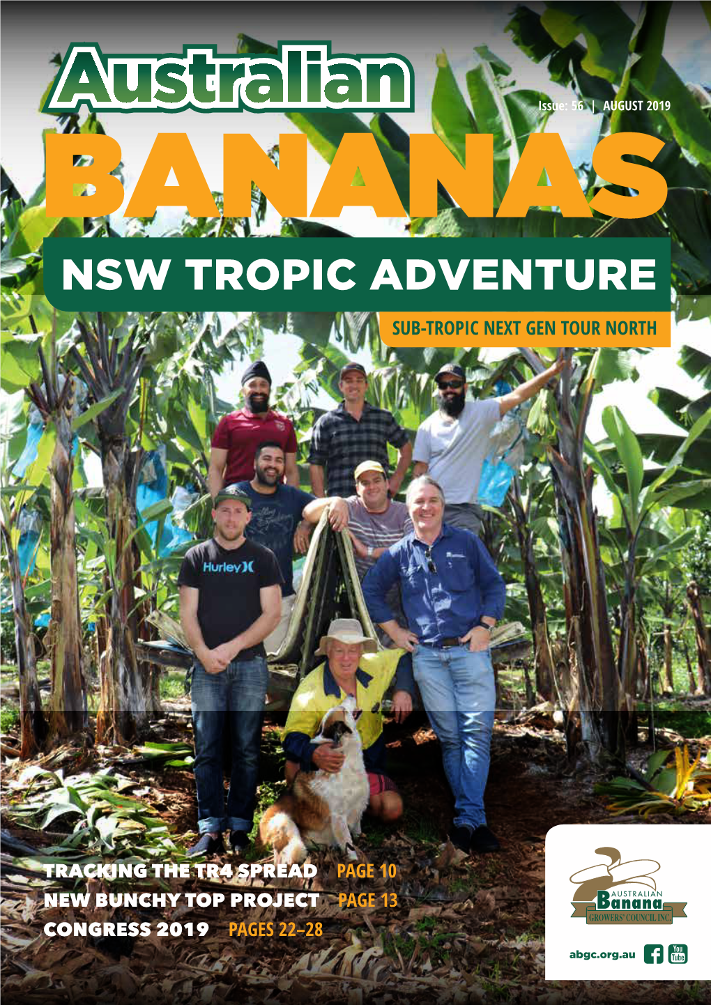 Nsw Tropic Adventure