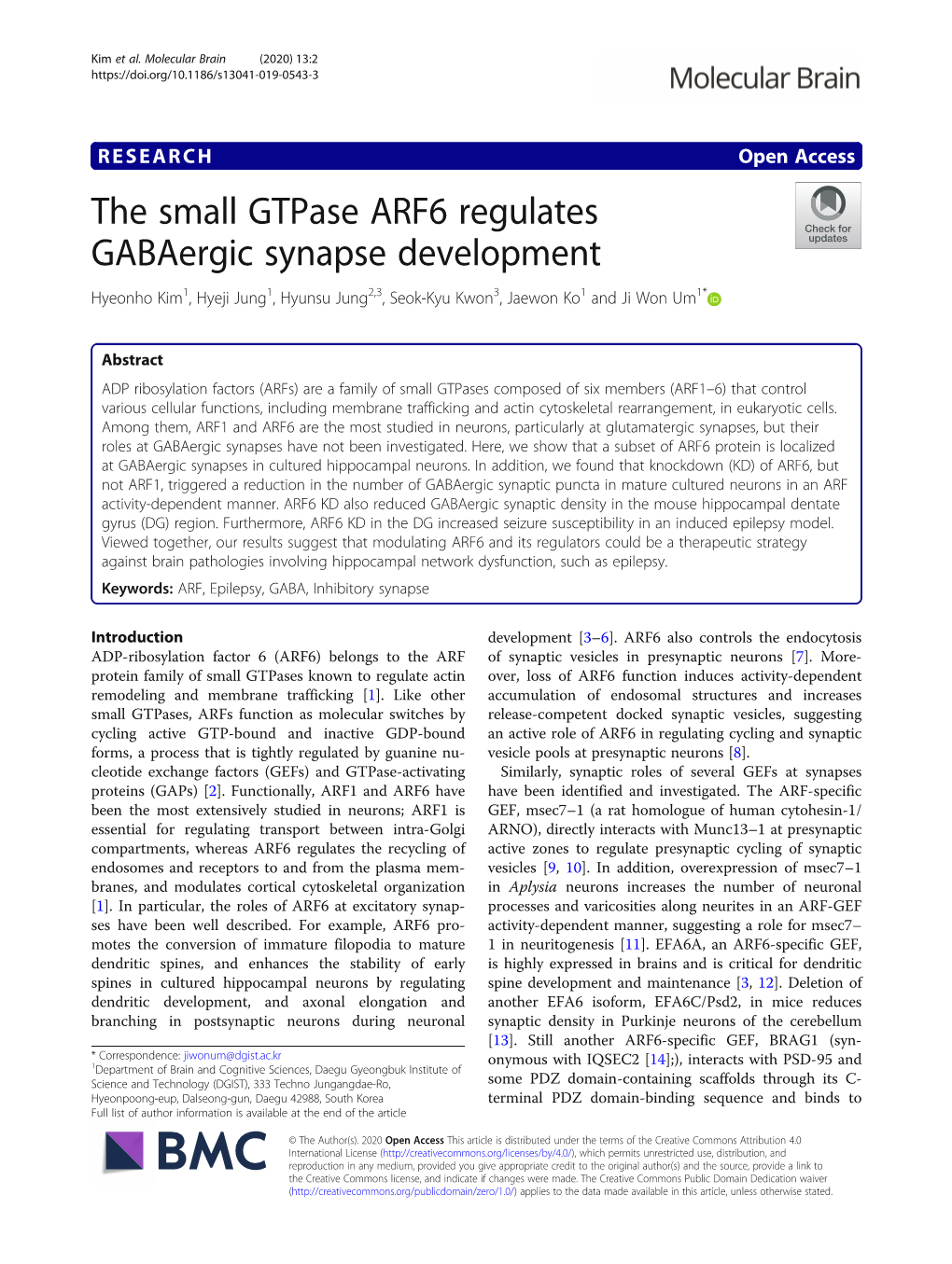 The Small Gtpase ARF6 Regulates Gabaergic Synapse Development Hyeonho Kim1, Hyeji Jung1, Hyunsu Jung2,3, Seok-Kyu Kwon3, Jaewon Ko1 and Ji Won Um1*