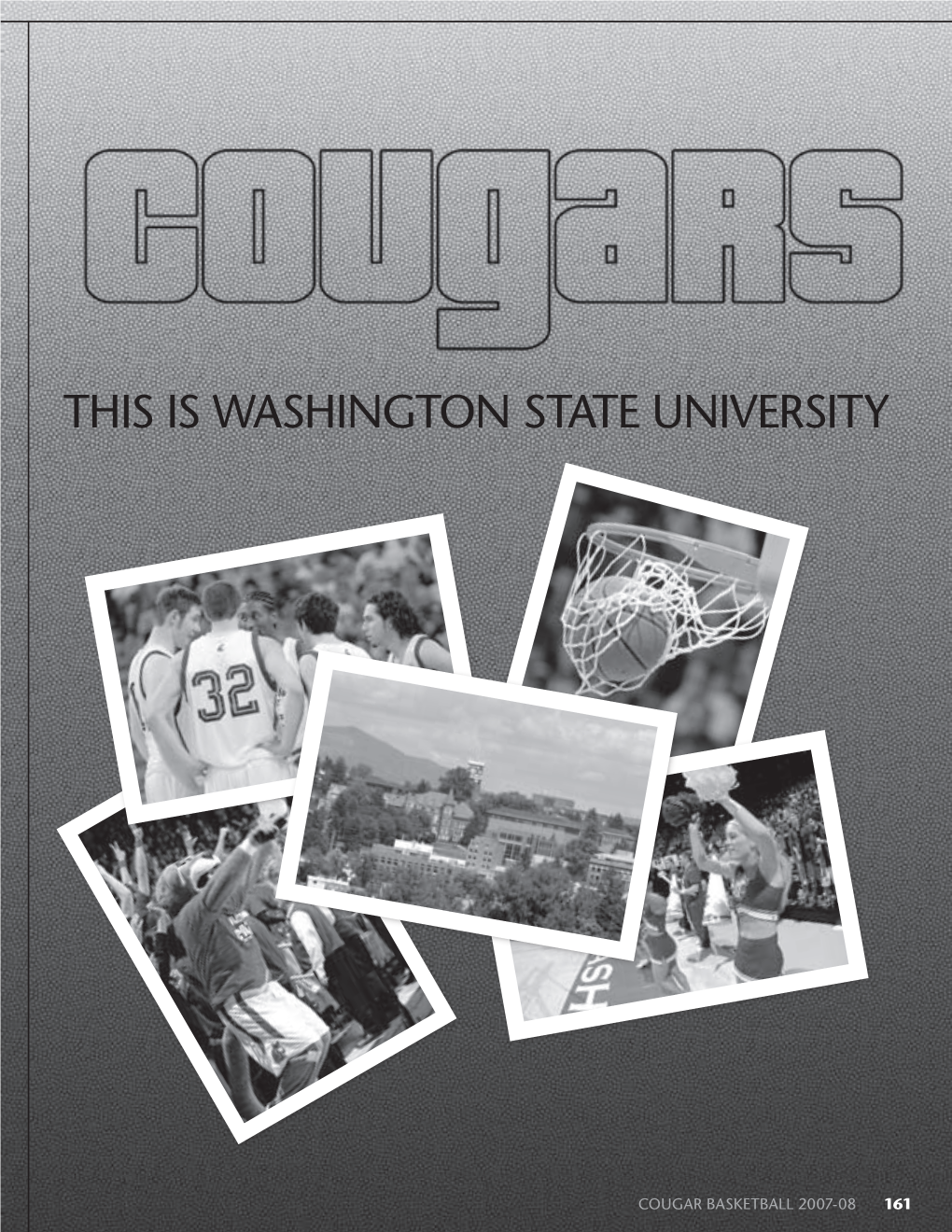 This Is Washington State University